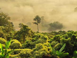 Crédit photo : Boudewijn Huysmans/Unsplash