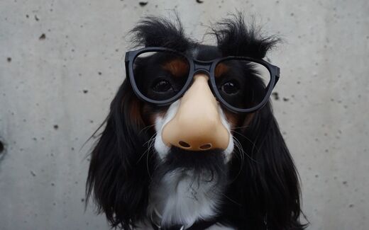 Votre chef se sent moche ? La prime est dans la poche !