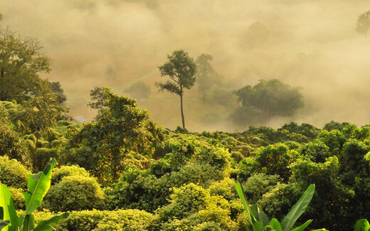 Crédit photo : Boudewijn Huysmans/Unsplash