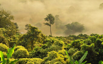 Crédit photo : Boudewijn Huysmans/Unsplash